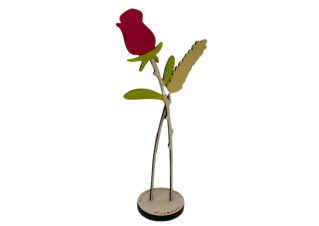 Rosa Sant Jordi POP OUT